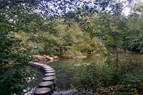 Immobilienkauf Bergisch Gladbach-Paffrath