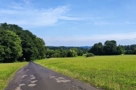 Starck Immobilien GmbH Bergisch Gladbach