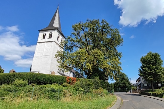 Starck Immobilien Bergisch Gladbach