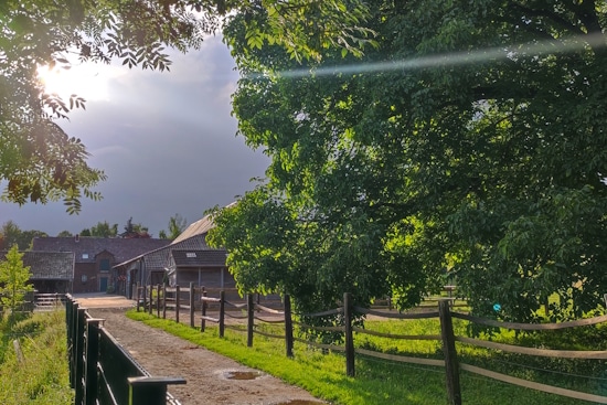 Immobilienkauf Bergisch Gladbach-Hebborn