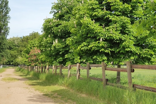 Starck Immobilien GmbH Bergisch Gladbach