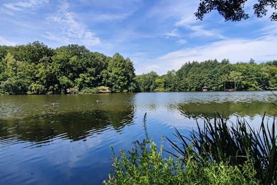 Immobilienbewertung Bergisch Gladbach-Refrath