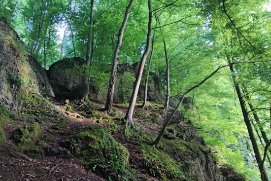 Immobilienbewertung Bergisch Gladbach